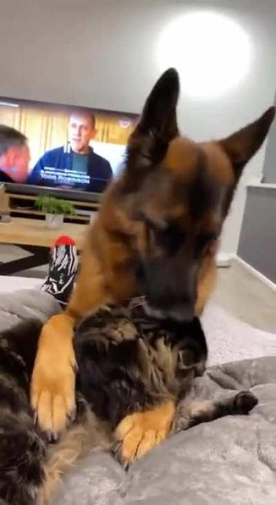 I just want to love you and cuddle!