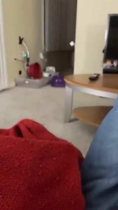 me bc $100,000 btc is conservative and inevitable