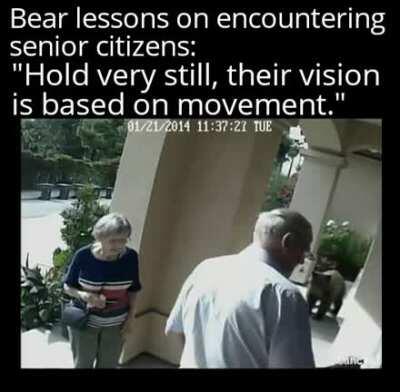 You seeing this shit