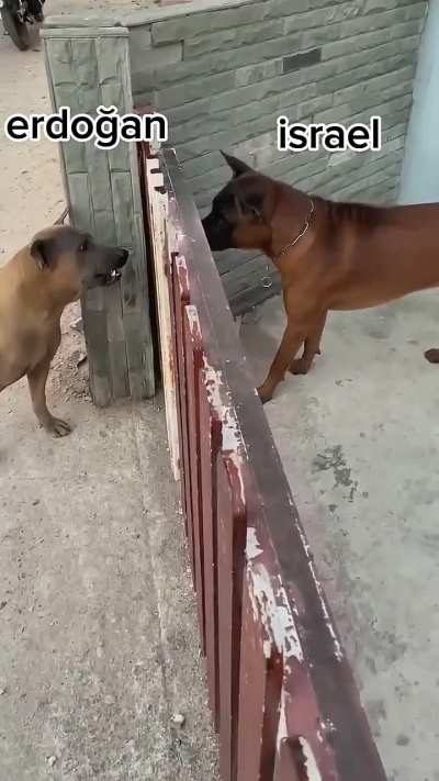 erdogan the caliph☝️