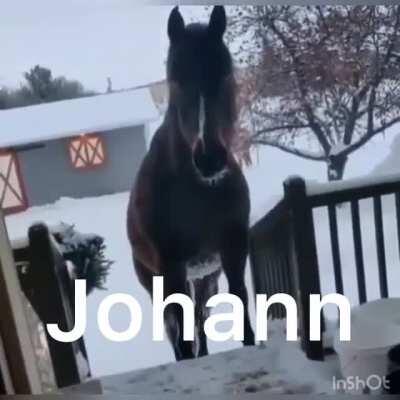 Ana Spanakopita lifeguard scene so emotional ;(