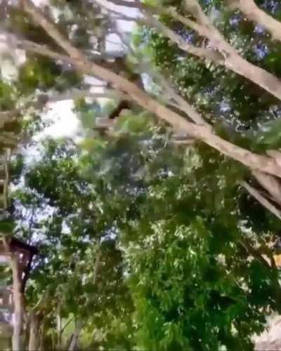 That’s one way to do it!