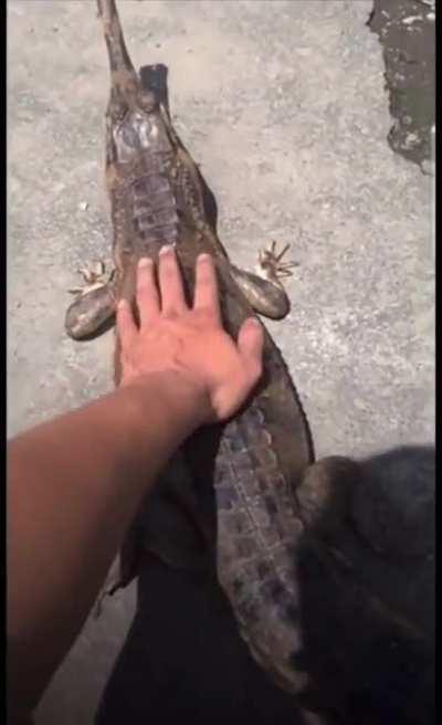 sometimes it's best to keep your hands to yourself