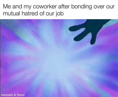 Our boss is a 🐬 🐬