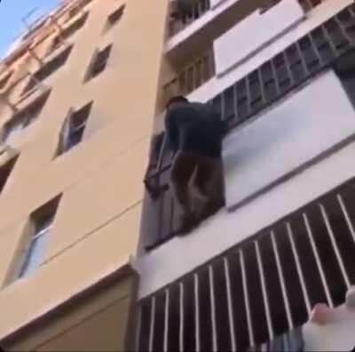 WCGWJumping in a tree