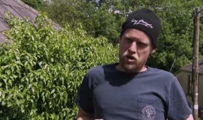 semi translucent pricks