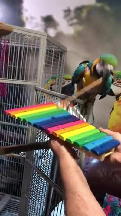 Winston providing us with music