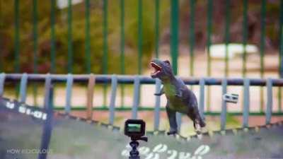 Not looking down means not falling.