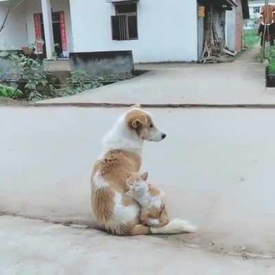 Sister from a different mister