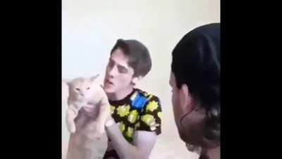 KC:AU (cat doesnt actually get hit)