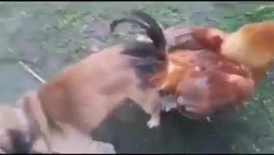 Enunciado del contenido de una obra de arte, literaria o de una conferencia