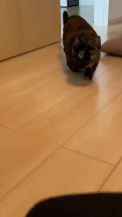 Oh LAWD she is wiggling!!!!