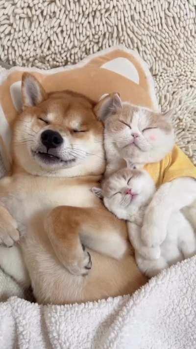 Adorable petite family