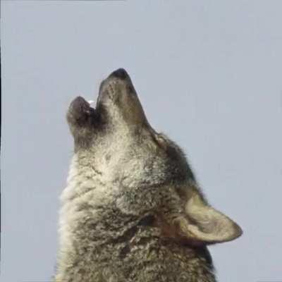 Man found 70 pictures googling 