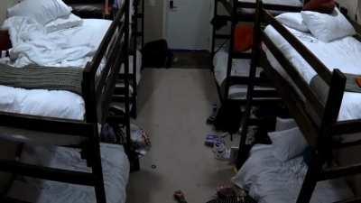 Bryce Hall knocks out FouseyTube