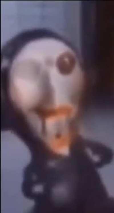 cursed_Би ямааг хатуу долоомоор байна Bi yamaag khatuu doloomoor baina