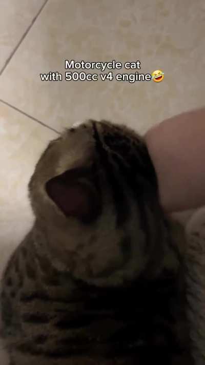 Wunk think he's 500cc 🏍️