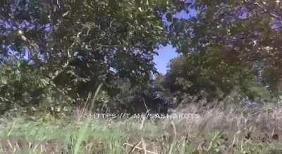 Ru Pov: Operation of a Russian 