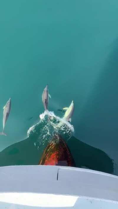 The perks of working at sea