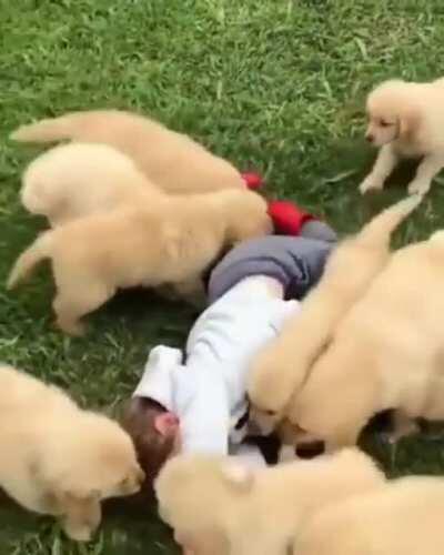 Training the new recruits