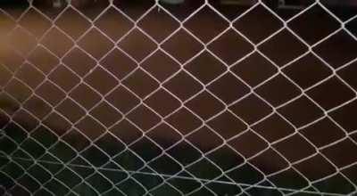 Gente, alguém sabe que animal faz esse barulho???