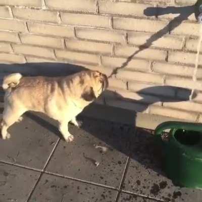 He is trying to invent a way of drinking the water shadow..