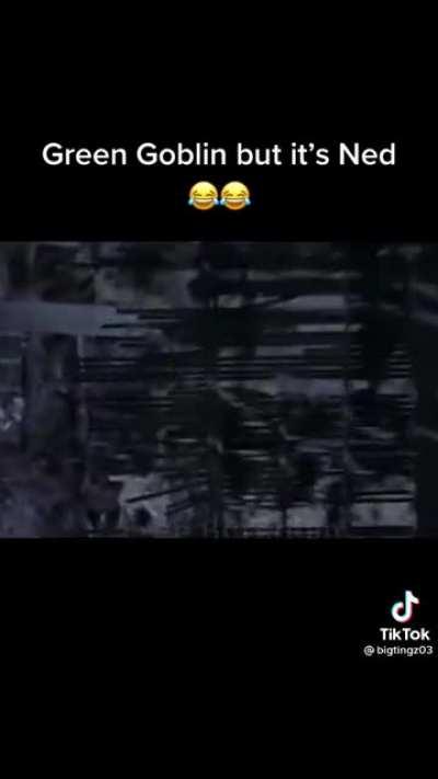 In an alternative universe 🤣