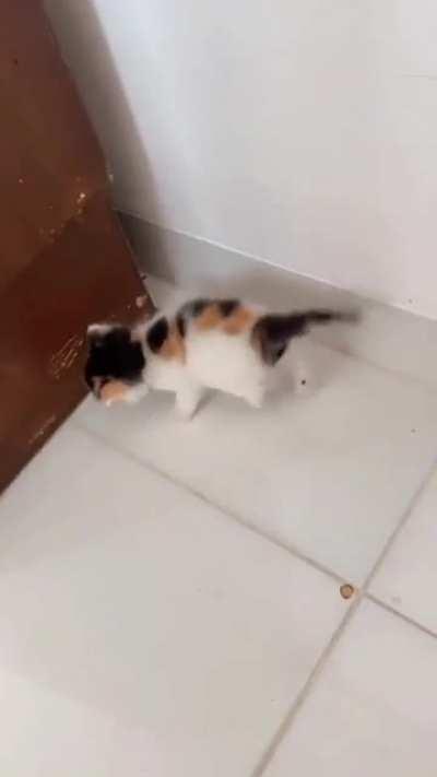 ExTrEmElY ViOlEnT AcCiDeNt KiLls ChIlD ! GoRe