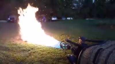 Арахнофобам на заметку