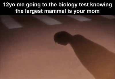 completely unstoppable