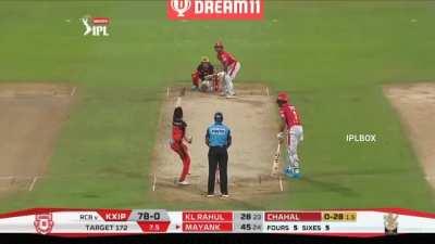 Yuzi the Genius! Absolute must in the Indian t20 team.