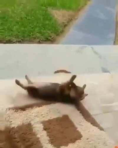 Para começar a manhã