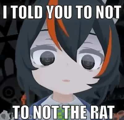 The rat has won. You all disgust Zhu Yuan. 