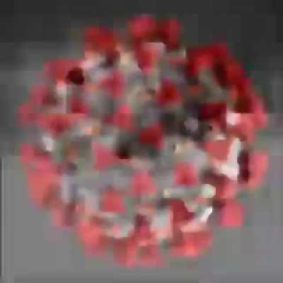 zoomer deathbed memories