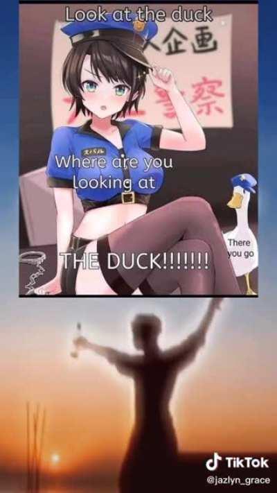 Just look at the duck (ctto)