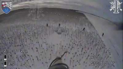 Ukrainian 8th SSO FPV drone strikes on claimed North Korean infantry, Kursk area. Published December 17, 2024