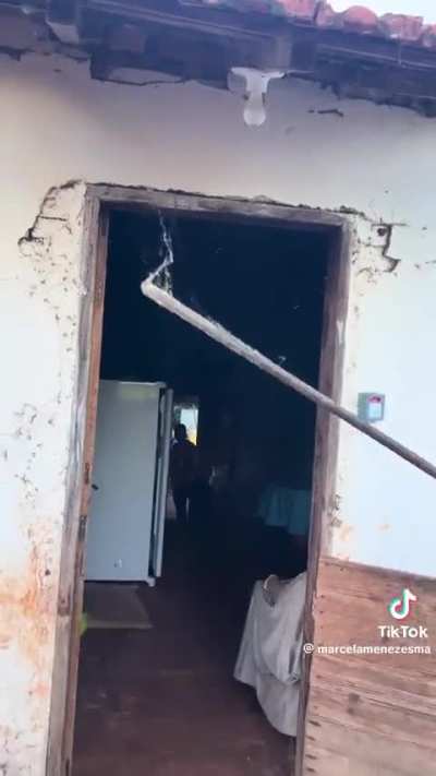 Brazilian woman crushes spider in her shoes