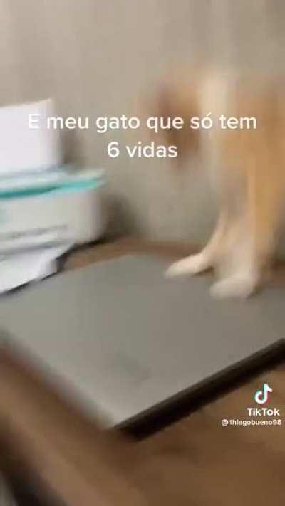eita porra