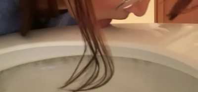 You’re personal toilet cleaner