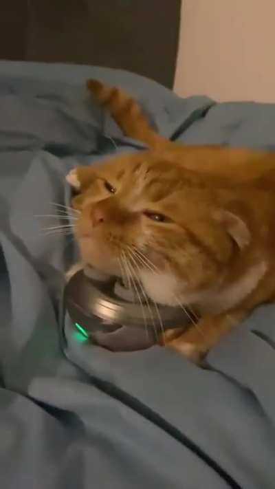 living his best life