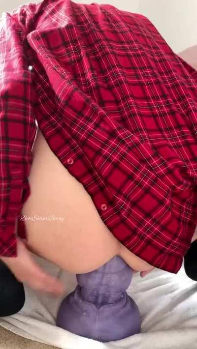 Working to take the knot (XL Nova)