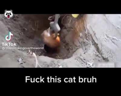 No comment for this one. ( its reversed)