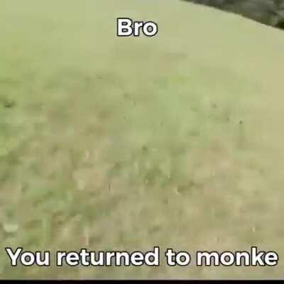 it happened you returned to monke