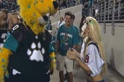 It's not her Birthday but the attention fiend got some cake anyway.