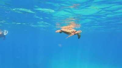 🔥Sharks Cove - Oahu, Hawaii 🔥
