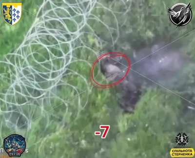 UA 103rd TDF Brigade hit Russian infantry with FPV, Kursk region