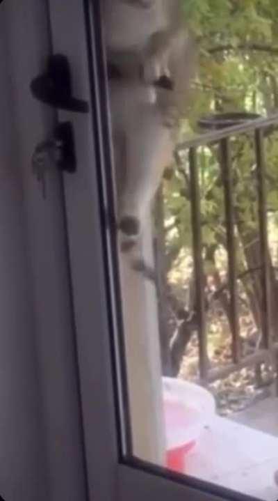 When The Parents Are Away…