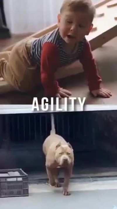 beelce sinedo family friendly