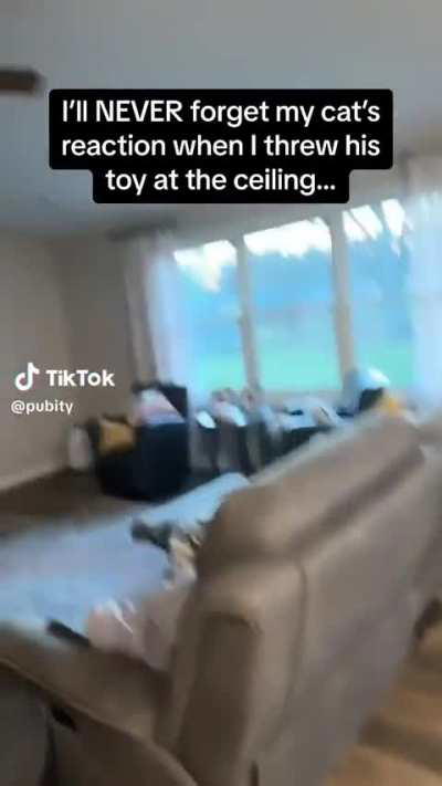 It's the meow for me