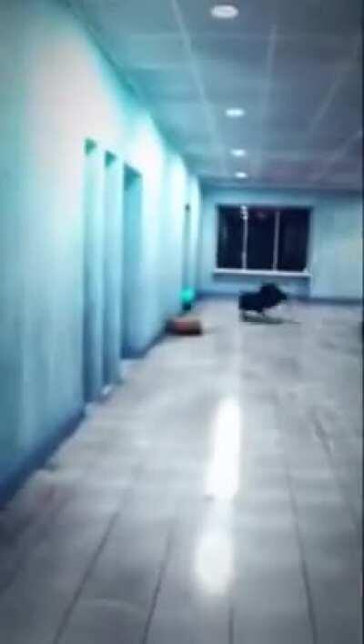 It’s just a normal umbrel- OH GOD